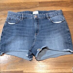 LANE BRYANT signature jean shorts.